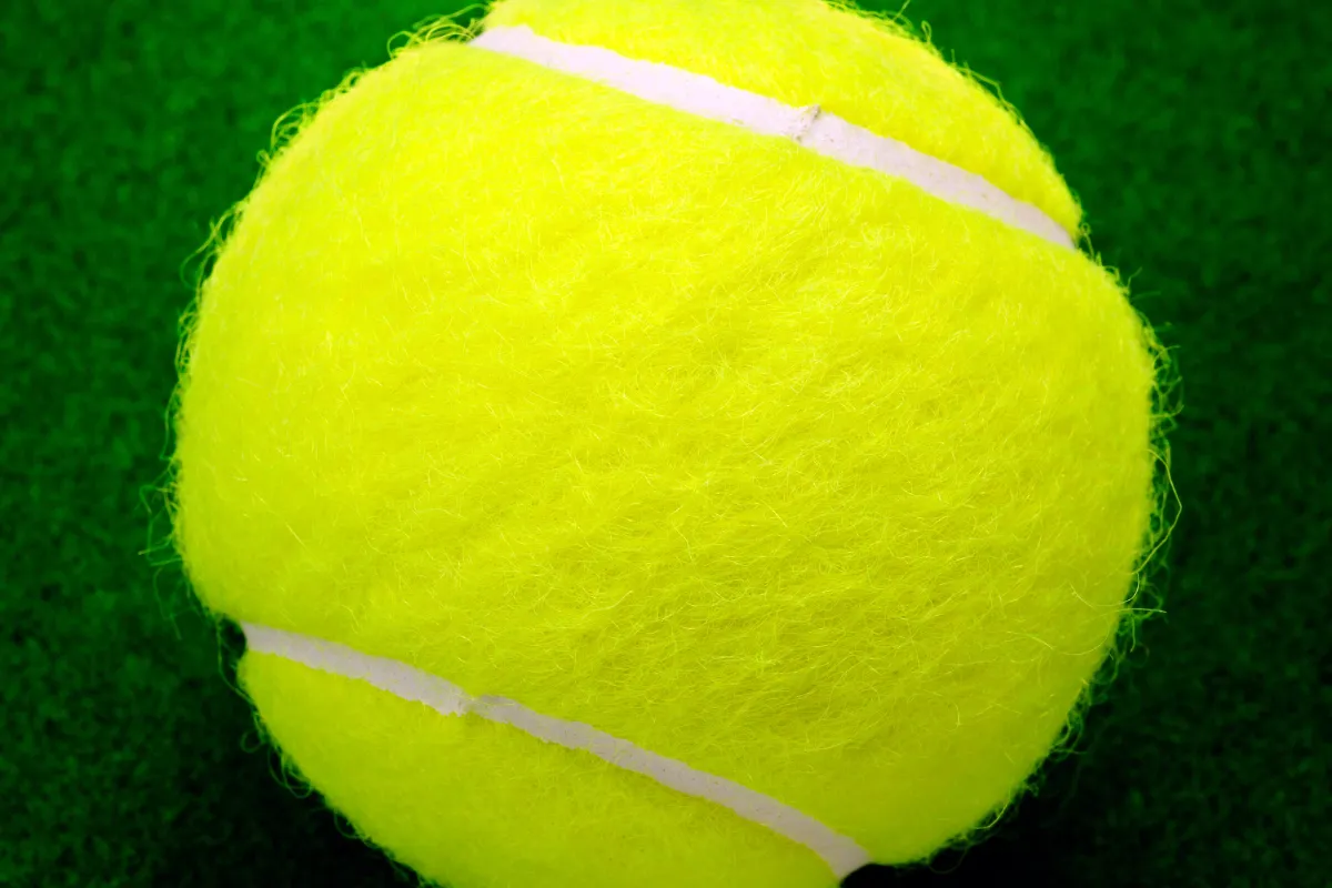 laisser-une-balle-de-tennis-dans-votre-jardin-pour-aider-les-animaux-cet-hiver-quelle-est-cette-astuce-meconnue