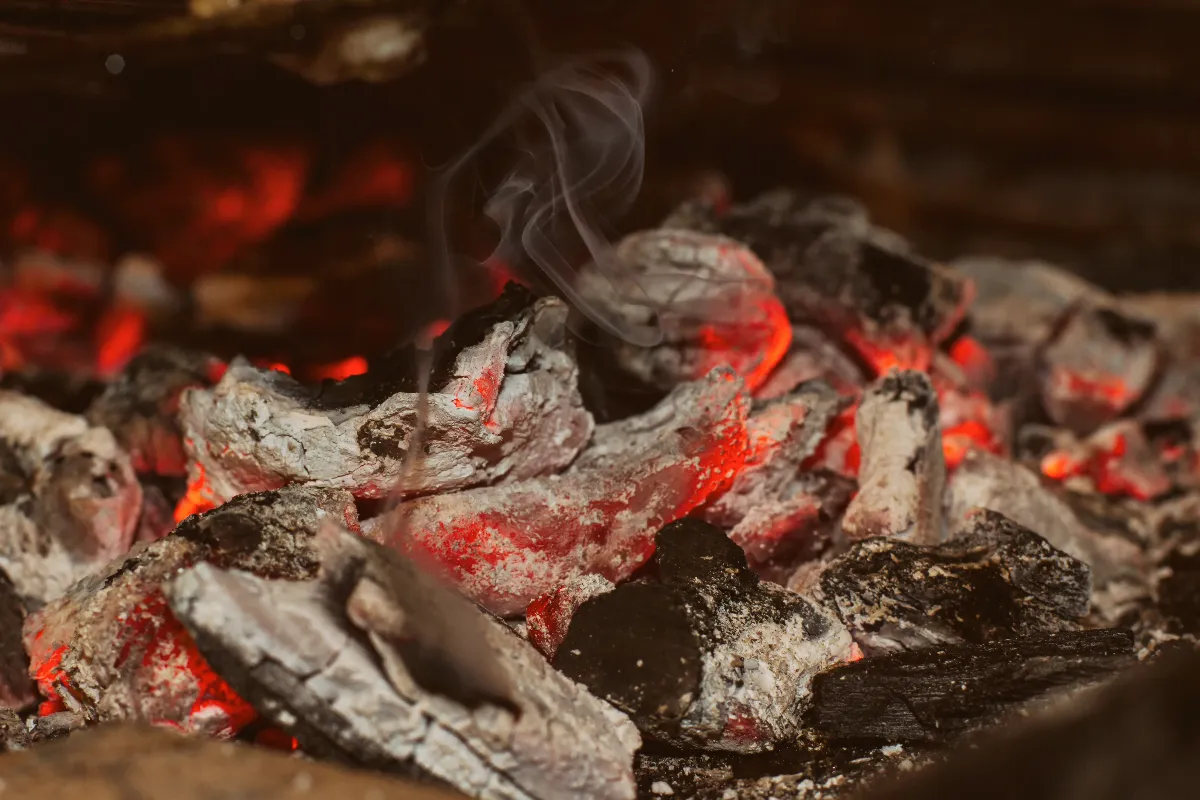 quelle-est-cette-astuce-economique-que-les-francais-utilisent-de-plus-en-plus-avec-les-cendres-de-bois