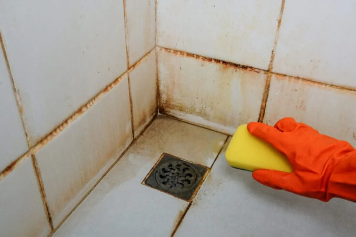 joints de douche qui jaunissent