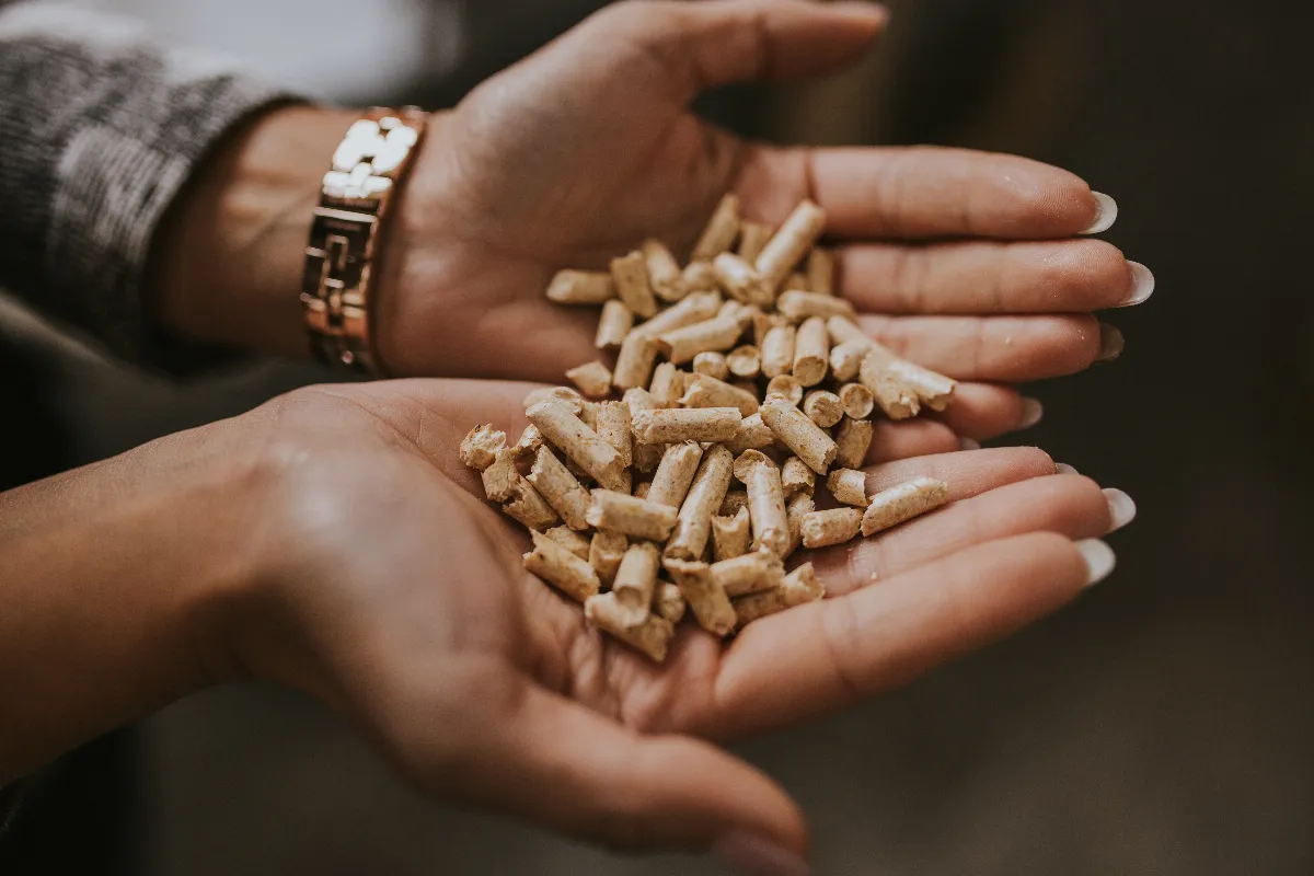 ou-acheter-des-granules-de-bois-de-qualite-sans-se-tromper
