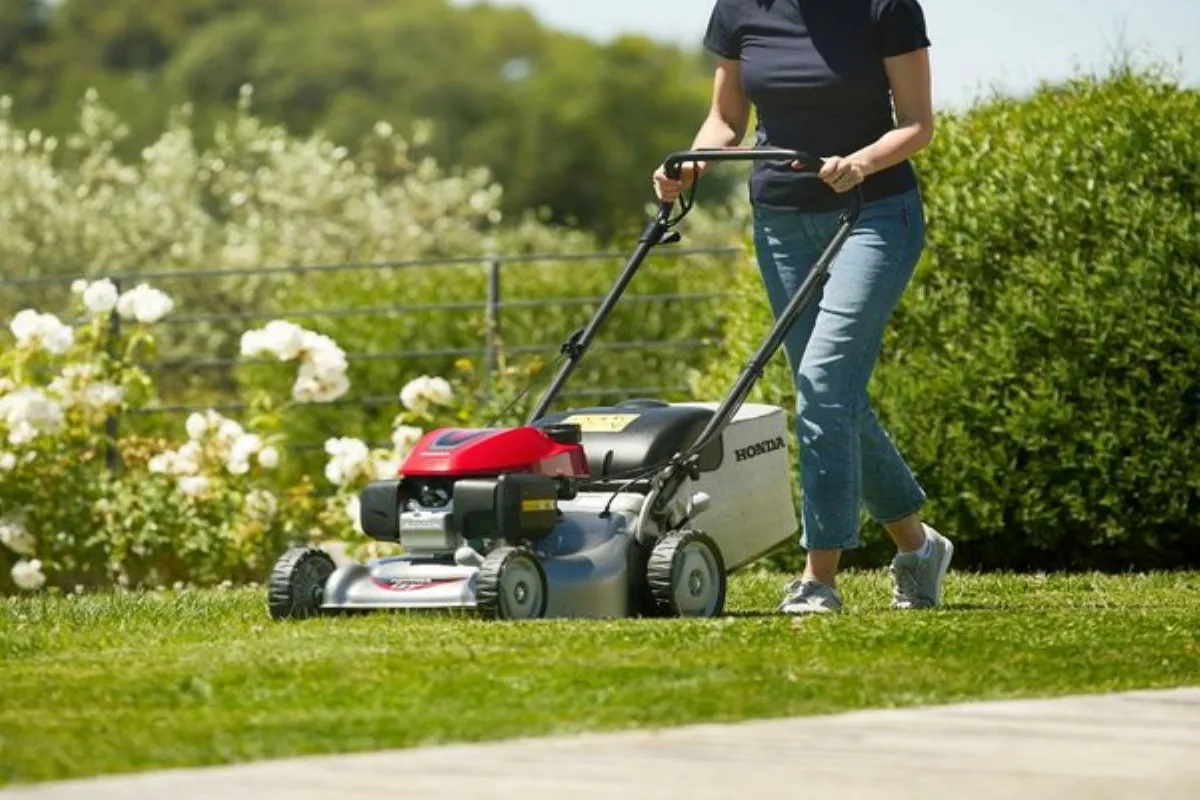 conseils-et-outils-pour-bien-preparer-son-jardin-au-printemps