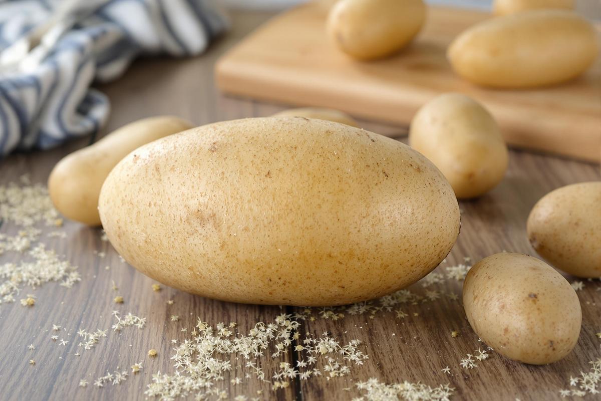 Comment savoir si une pomme de terre est encore bonne ?