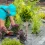 Aménagement de jardin : pourquoi faire appel à un paysagiste pour sublimer vos espaces extérieurs et intérieurs ?