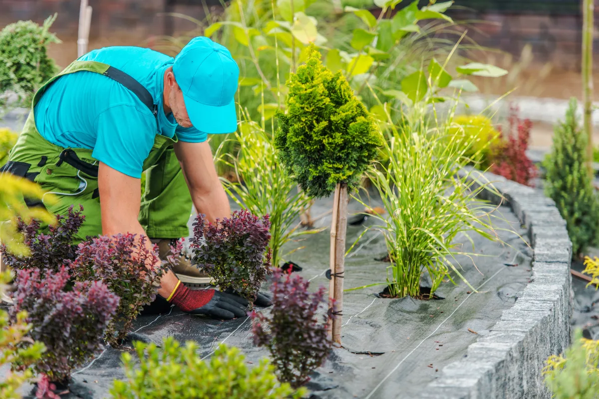 amenagement-de-jardin-pourquoi-faire-appel-a-un-paysagiste-pour-sublimer-vos-espaces-exterieurs-et-interieurs