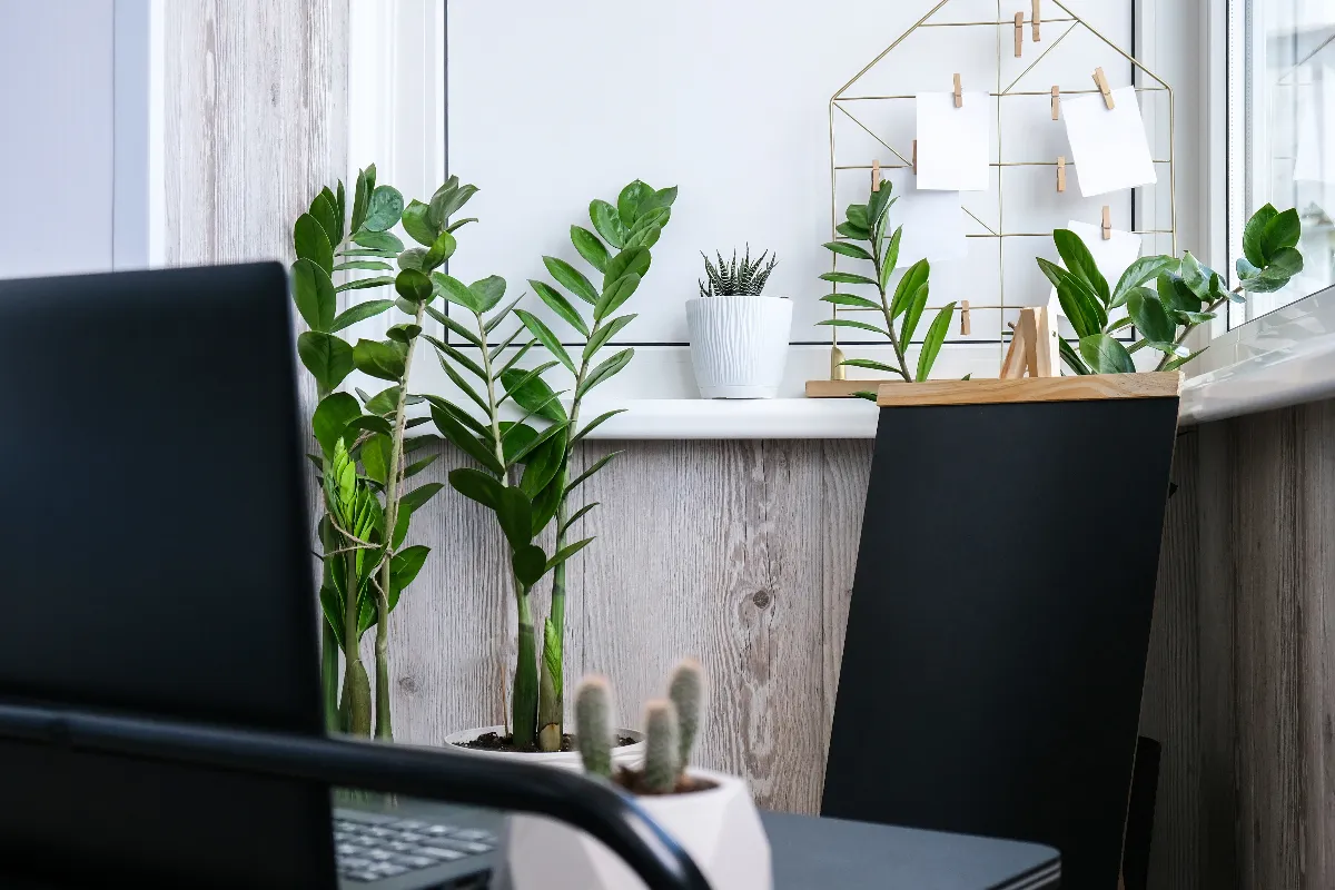 plantes-artificielles-au-bureau